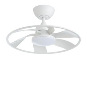 Light Pro 22 In. LED Indoor Matt White Smart Ceiling Fan With DC Motor (Option: WHITE)